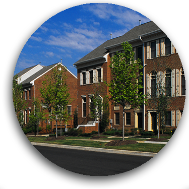 Arborvantage Provides Nursery Stock for Professional Developers