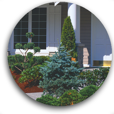 Arborvantage Provides Nursery Stock for Landscaping Contractors